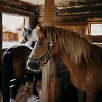Lerch Chalet
