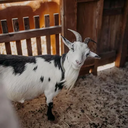 Lerch Chalet Sankt Johann im Pongau
