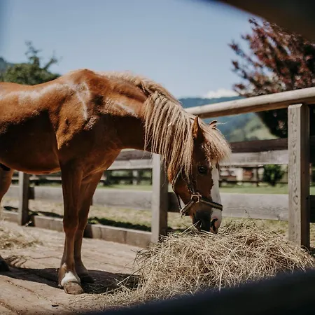 Lerch Sankt Johann im Pongau