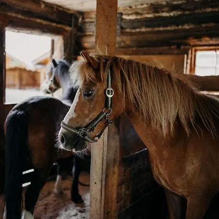 Lerch * Sankt Johann im Pongau